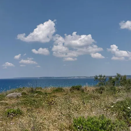La Terrazza Sul Mare Apartment